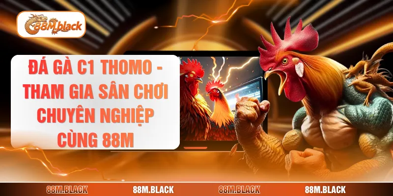 đá gà c1 Thomo