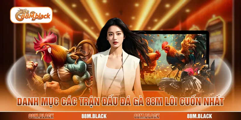 Danh mục các trận đấu đá gà 88M lôi cuốn nhất