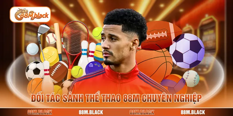 Đối tác sảnh thể thao 88M chuyên nghiệp