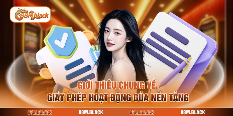 Giới thiệu chung về giấy phép hoạt động của nền tảng
