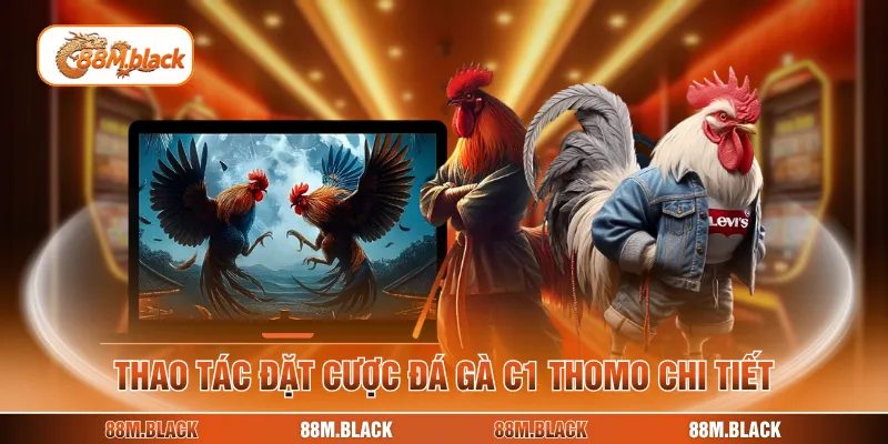 Thao tác đặt cược đá gà c1 Thomo chi tiết