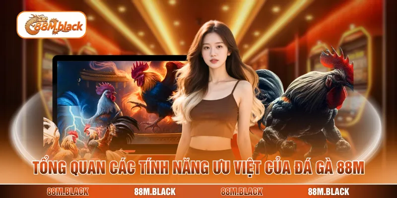 Tổng quan các tính năng ưu việt của đá gà 88M