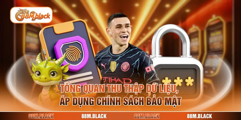 Tổng quan thu thập dữ liệu, áp dụng chính sách bảo mật