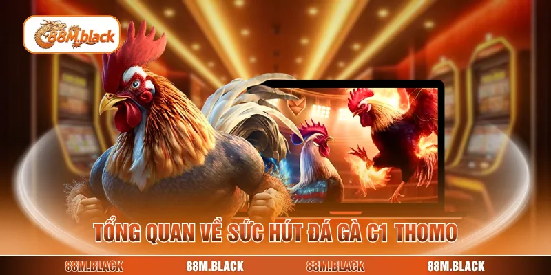 Tổng quan về sức hút đá gà c1 Thomo