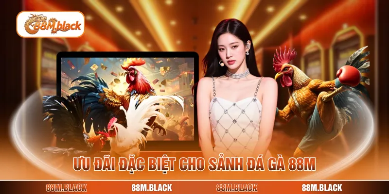 Ưu đãi đặc biệt cho sảnh đá gà 88M